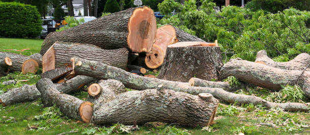 Best Lawn Maintenance Plans  in Monsey, NY